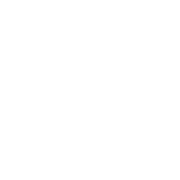 a1