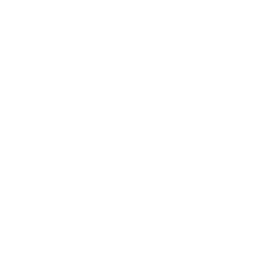 a3-1