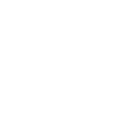 a4