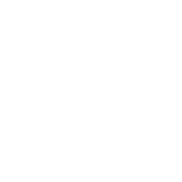 a5