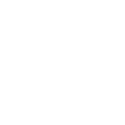 a8