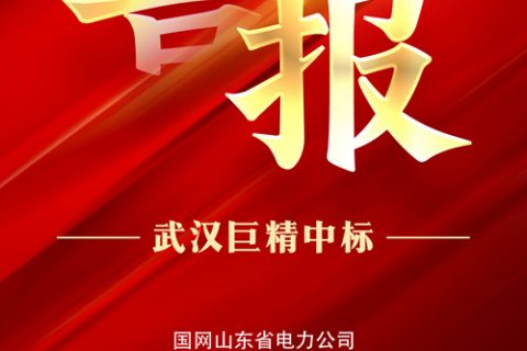 热烈祝贺尊龙凯时人生就是搏中标国网山东省电力公司2022年第三次物资果真招标采购项目