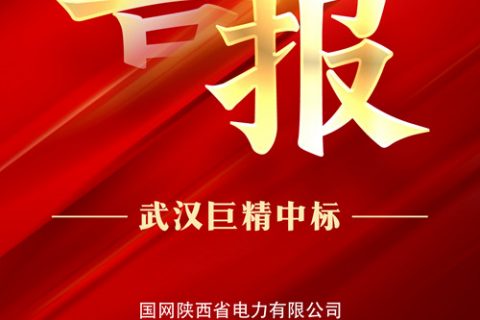 热烈祝贺尊龙凯时人生就是搏中标国网陕西省电力有限公司2022年第三次物资集中规模招标采购项目