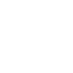 b1